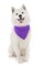 Dog Bandanas - 6 Pack - Scarf Triangle Bibs for Small, Medium and Large Puppies, Dogs and Cats